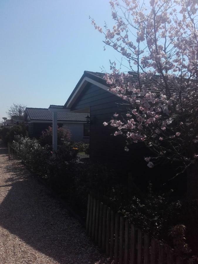 Cosy Petten, Family Only Exterior photo